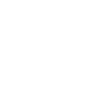 Delivery Process